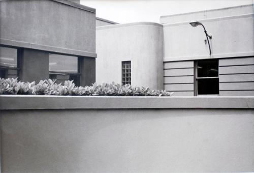Hedge Over Wall, Vancouver, 1979