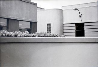 Hedge Over Wall, Vancouver, 1979