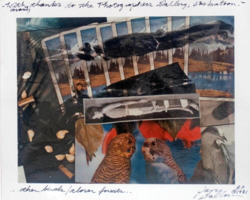 …other birds / closer forests