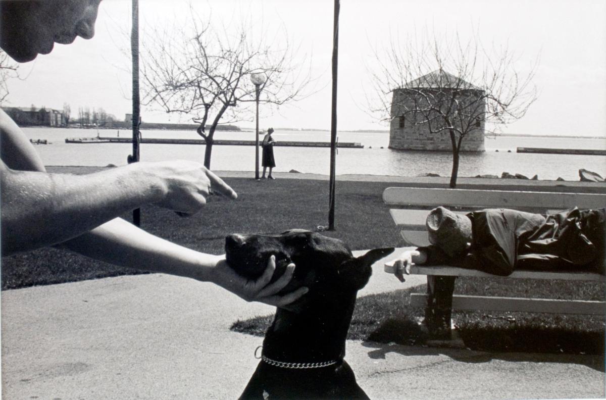 The Waterfront: Kingston 1980