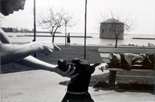 The Waterfront: Kingston 1980