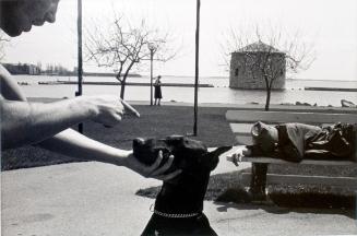 The Waterfront: Kingston 1980