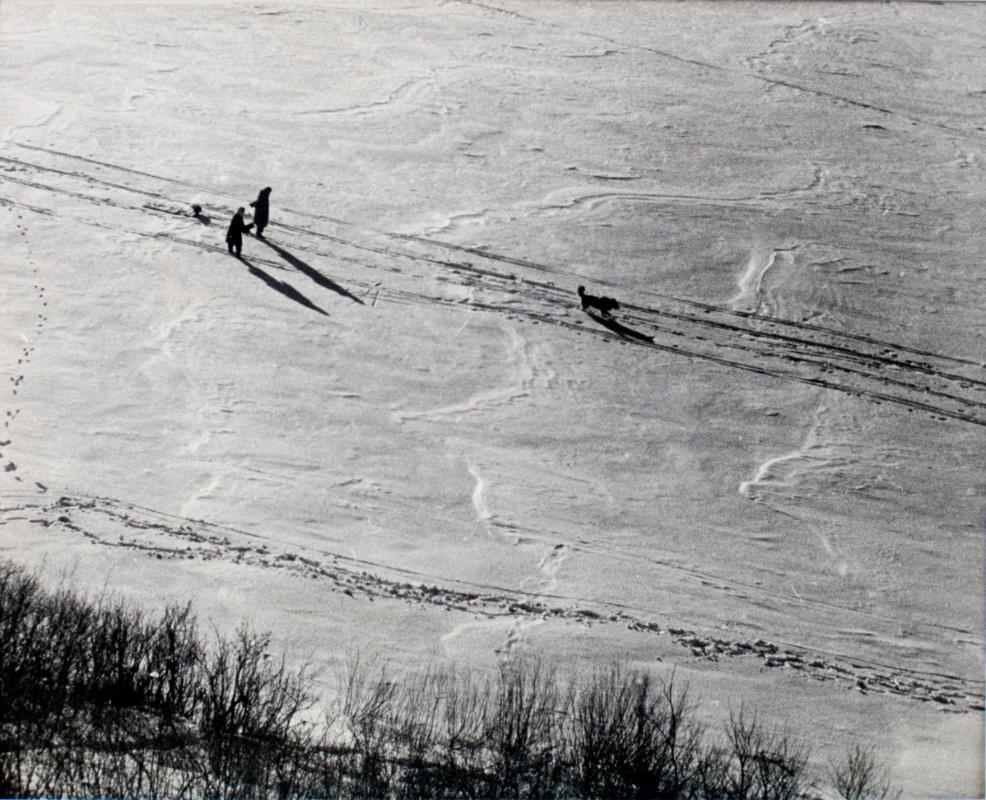 Winter Trails