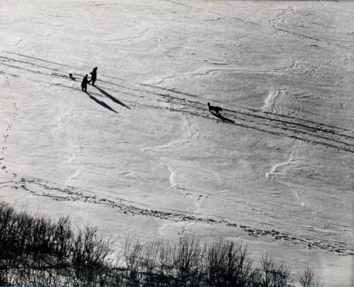 Winter Trails