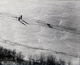 Winter Trails