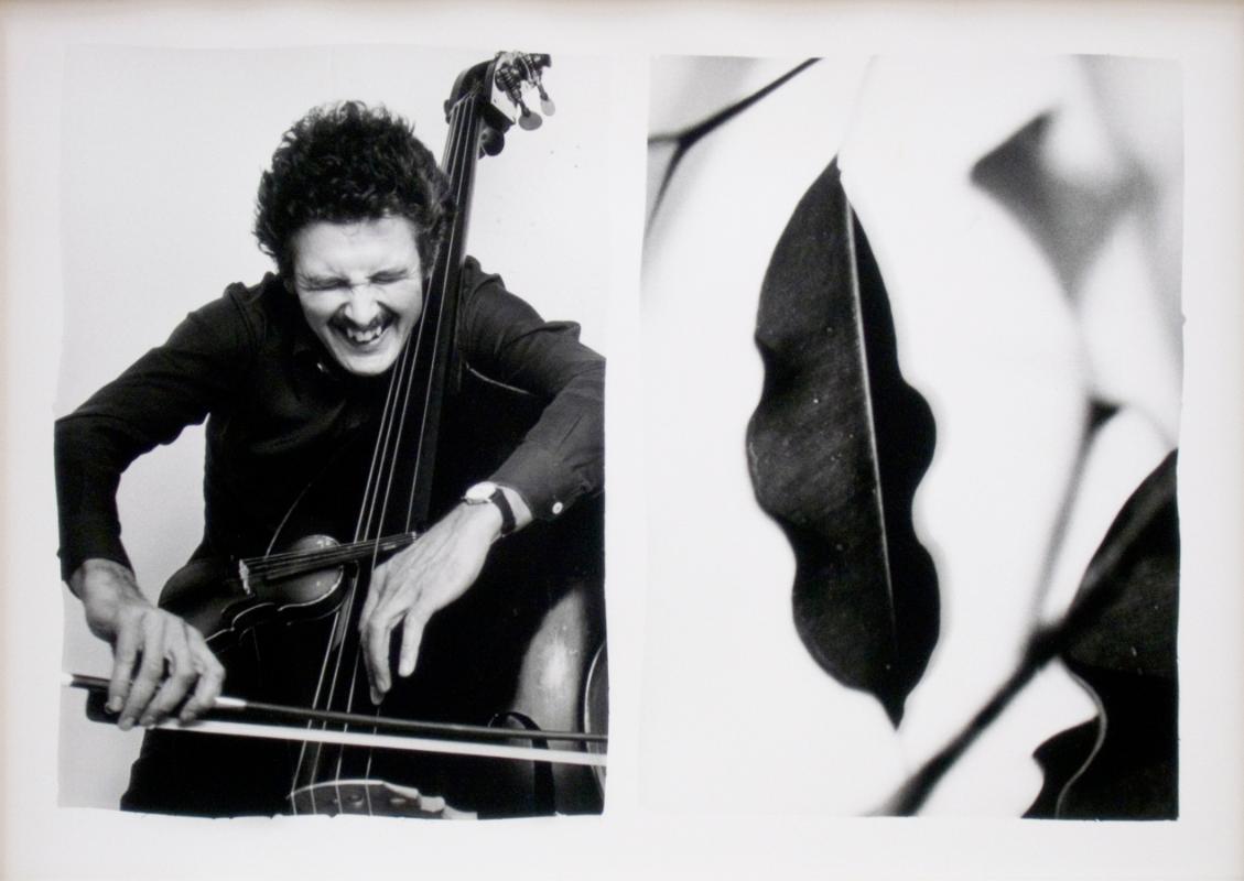 Martin Van Regteran Altena, Music Gallery