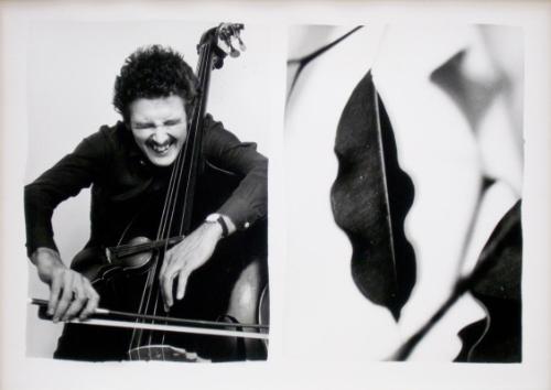 Martin Van Regteran Altena, Music Gallery