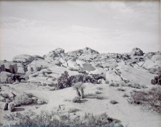 © Susan Close. Copyright Visual Arts-CARCC, 2021
