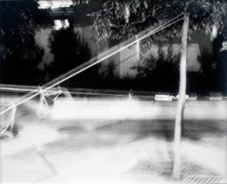 Tree in Bondage, Saskatoon, 1981