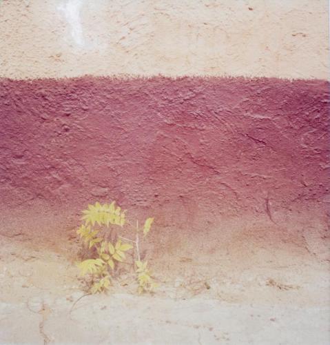 Study on Yellow II