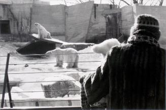 A Day at the Zoo