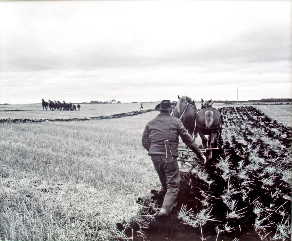 The Way Grandfather Did the Ploughing, Yorkton Thresherman Days, 1981