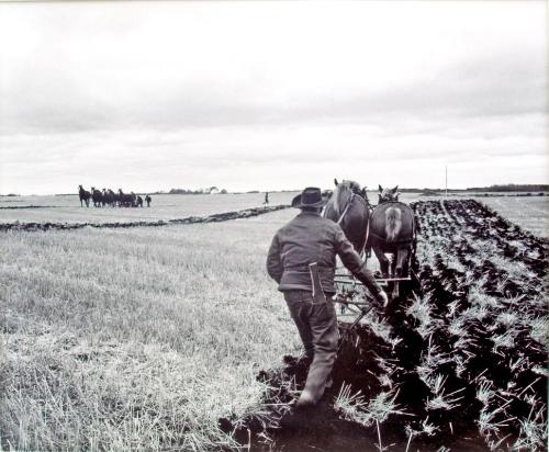 The Way Grandfather Did the Ploughing, Yorkton Thresherman Days, 1981