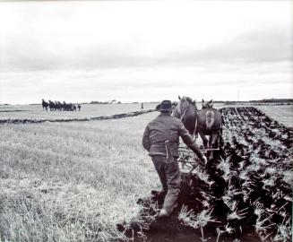 The Way Grandfather Did the Ploughing, Yorkton Thresherman Days, 1981