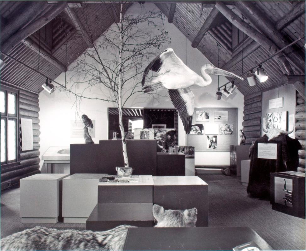 Prince Albert National Park. Interior of Interpretation Center, 1981
