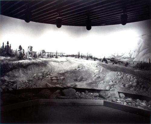 Diorama in the Interpretation Centre, P. A. N. P., 1981