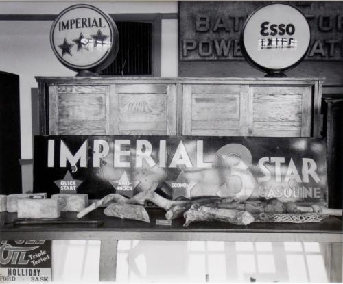 Interior, Fred Light Museum, 1981