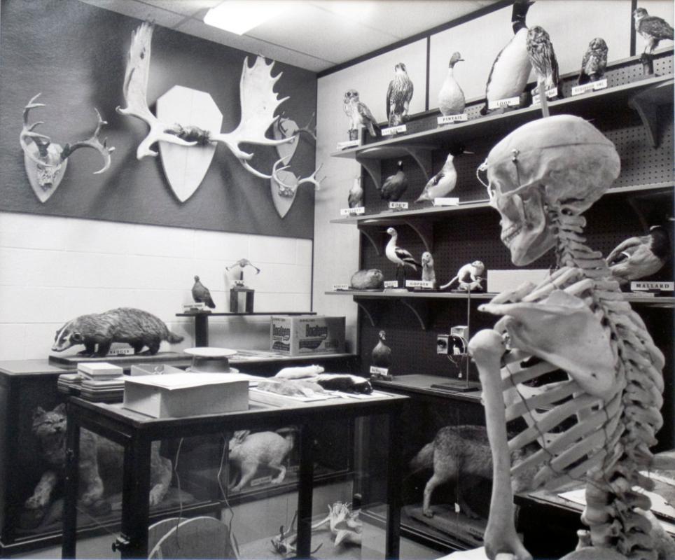 Specimen Room, McClurg High School, Wilkie, 1981