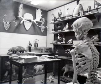 Specimen Room, McClurg High School, Wilkie, 1981