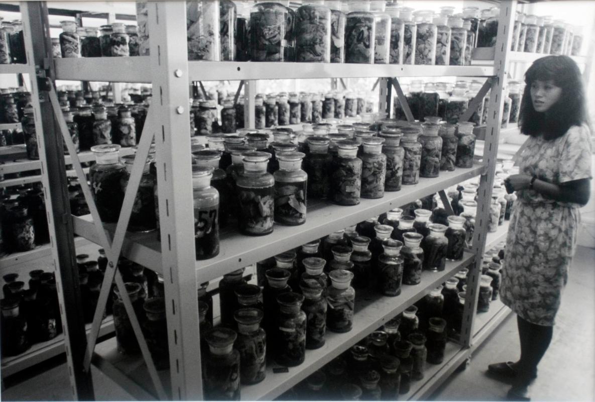2000 Jars