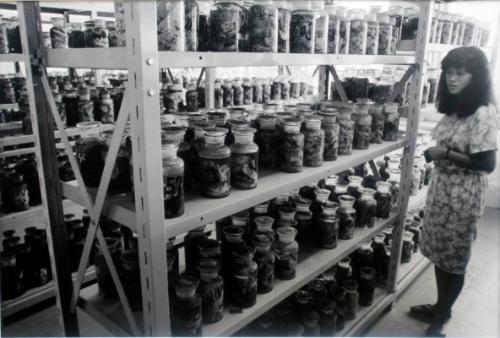 2000 Jars