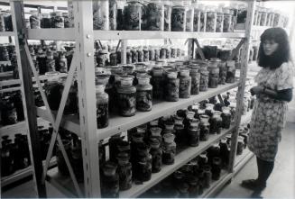 2000 Jars