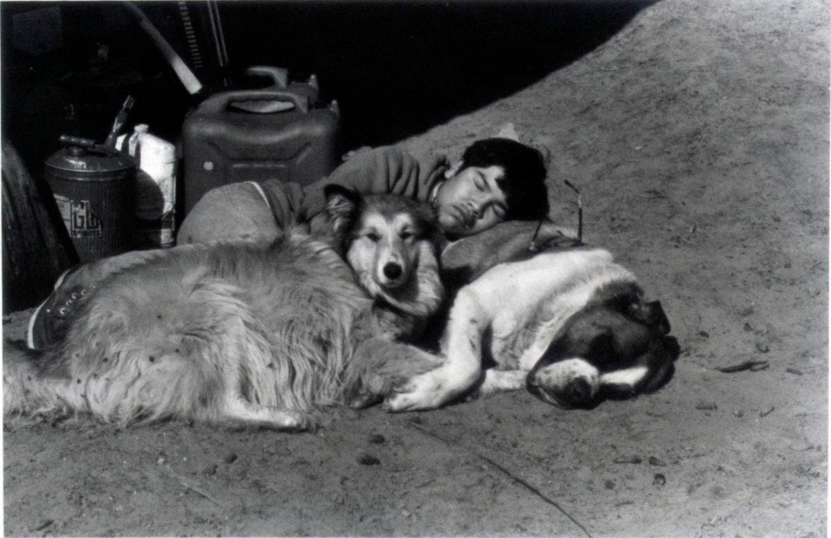 Hoss is a Good Pillow