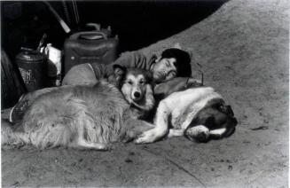 Hoss is a Good Pillow