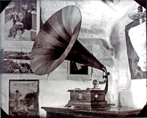 Phonograph (Flatlands #11)