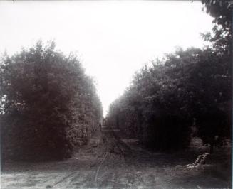 Near Indian Head, Saskatchewan (Flatlands #15)