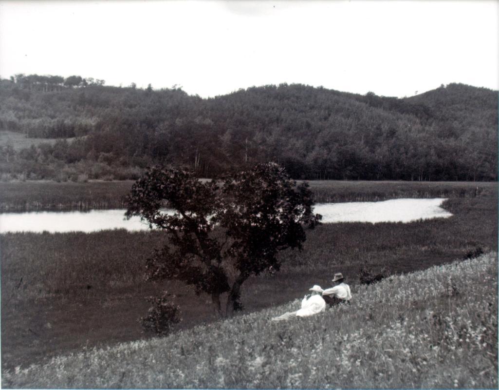 untitled (Flatlands #16)
