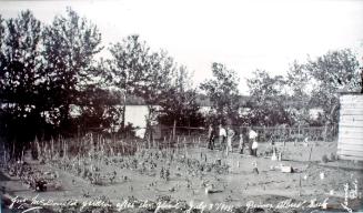 Prince Albert Flood (Flatlands #33)