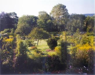 Overview of Garden