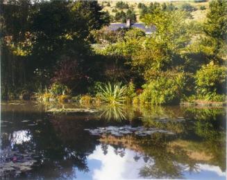 The pond