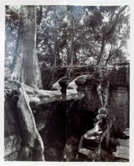 Ta Prohm, Angkor Wat (diptych, Snake Tree)