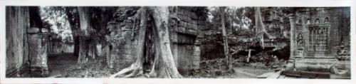 Courtyard Diptych