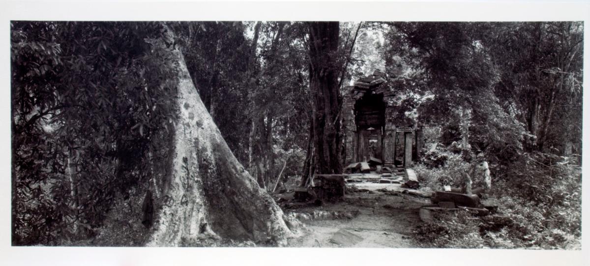 Angkor Wat (path by banyan)