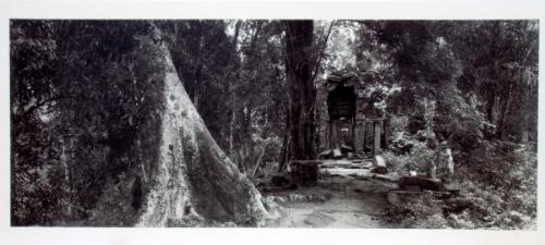 Angkor Wat (path by banyan)