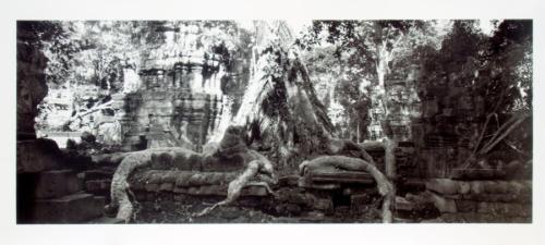 Angkor Wat, Preah Khan (tree root consuming ruins)