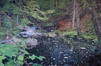 Dark Water Up Stream