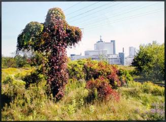 The Port Hope Refinery