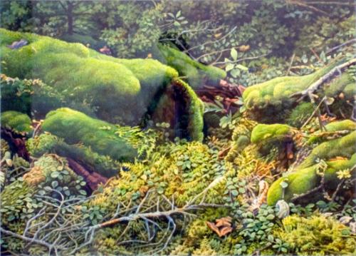 © Estate of Ernest Lindner. Copyright Visual Arts-CARCC, 2021