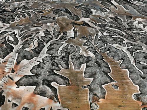 Dryland Farming #11, Monegros County, Aragon, Spain