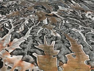 Dryland Farming #11, Monegros County, Aragon, Spain