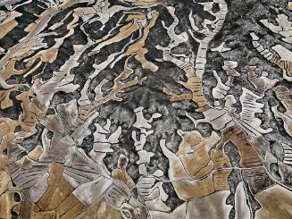 Dryland Farming #12, Monegros County, Aragon, Spain