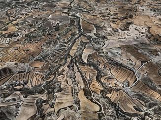 Dryland Farming #15, Monegros County, Aragon, Spain