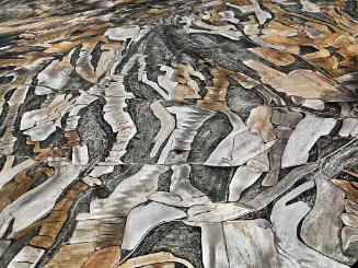 Dryland Farming #18, Monegros County, Aragon, Spain
