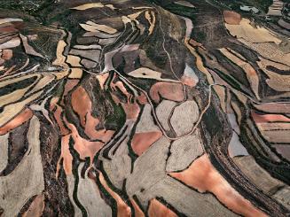 Dryland Farming #24, Monegros County, Aragon, Spain
