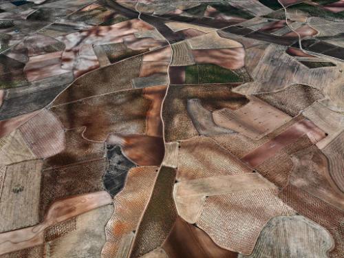 Dryland Farming #31, Monegros County, Aragon, Spain
