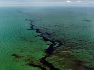 Oil Spill #10, Oil Slick, Gulf of Mexico, June 24, 2010